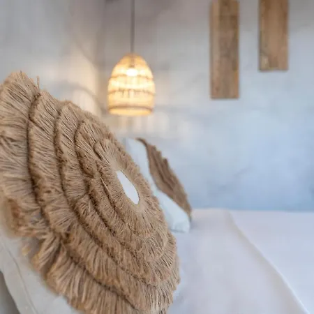 Oasis プラソニシ