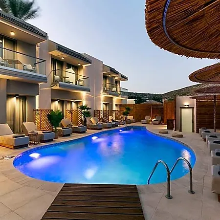 Oasis 2*