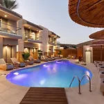 Oasis